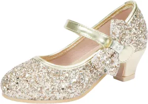 Girls Dress Shoes Low Heel Princess Shoes Wedding Party Mary Jane Flats for Toddler/Little Kids