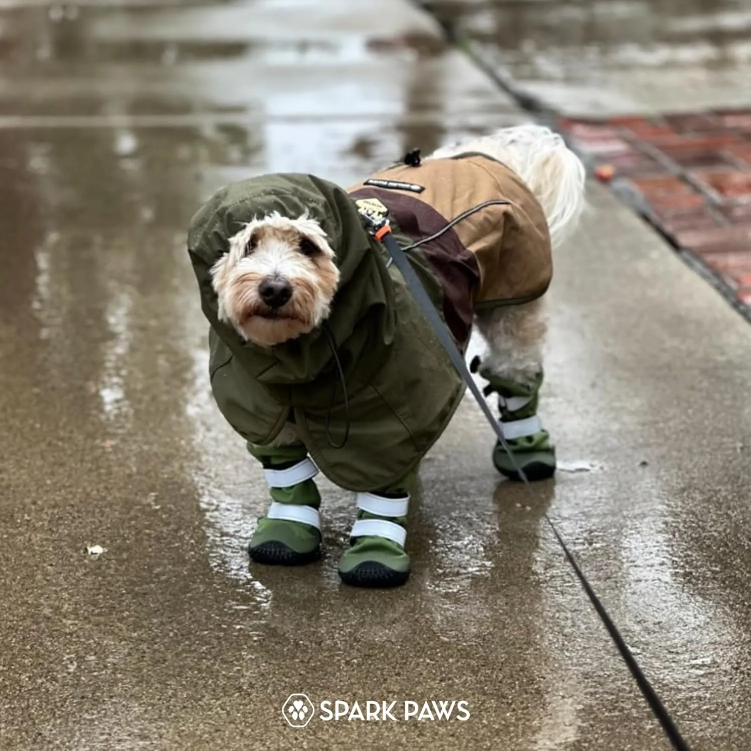 Spark Paws Water-Resistant Dog Boots for Medium Large Dogs, Anti-Slip Dog Shoe Booties Paw Protector for Rain Snow Hiking Reflective Straps 4PCS - Green, A